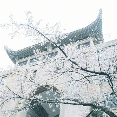 江苏检察机关依法对陈永红涉嫌受贿案提起公诉